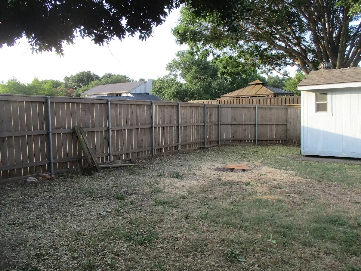 Cleared yard after professional tree removal in Ocean Springs