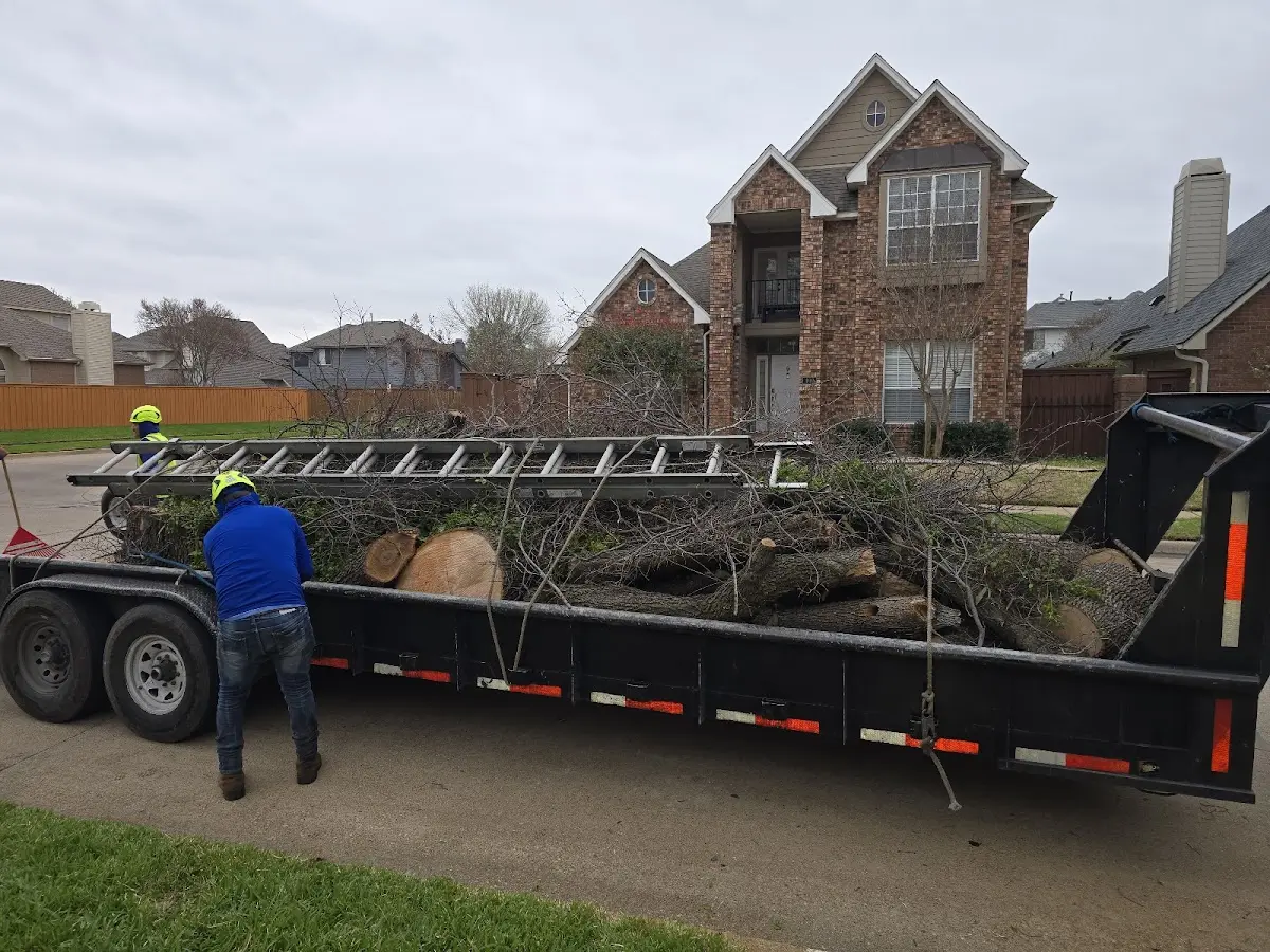 Expert Tree Pest Control with proper safety equipment in Ocean Springs